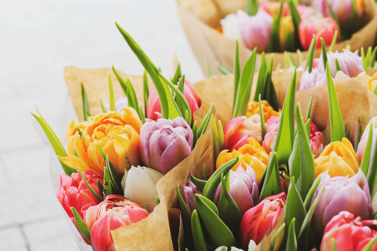 Lire la suite à propos de l’article Faire livrer des fleurs à Toulouse : le guide pratique